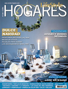 Hogares diciembre-enero 2018 2019