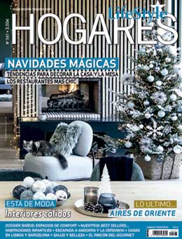 Hogares diciembre 2019-enero 2020