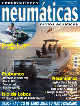 Neumáticas diciembre 2017