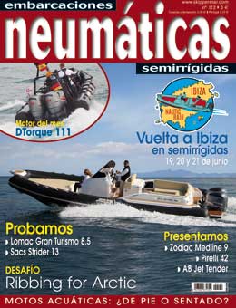 Neumáticas octubre-noviembre 2020