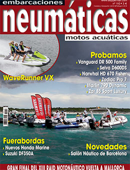 Neumáticas octubre/noviembre 2017